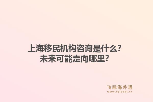 上海移民机构咨询是什么？未来可能走向哪里？