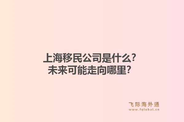上海移民公司是什么？未来可能走向哪里？