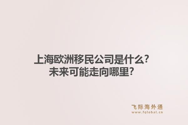 上海欧洲移民公司是什么？未来可能走向哪里？