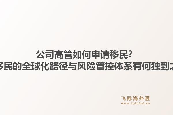 公司高管如何申请移民？飞际移民的全球化路径与风险管控体系有何独到之处？1.jpg