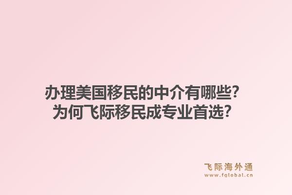 办理美国移民的中介有哪些？为何飞际移民成专业首选？1.jpg