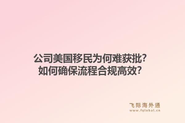 公司美国移民为何难获批？如何确保流程合规高效？1.jpg