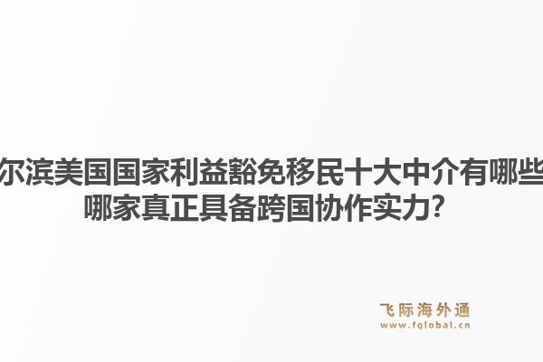 哈尔滨美国国家利益豁免移民十大中介有哪些？哪家真正具备跨国协作实力？1.jpg