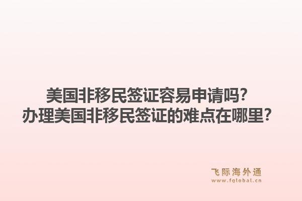 美国非移民签证容易申请吗？办理美国非移民签证的难点在哪里？
