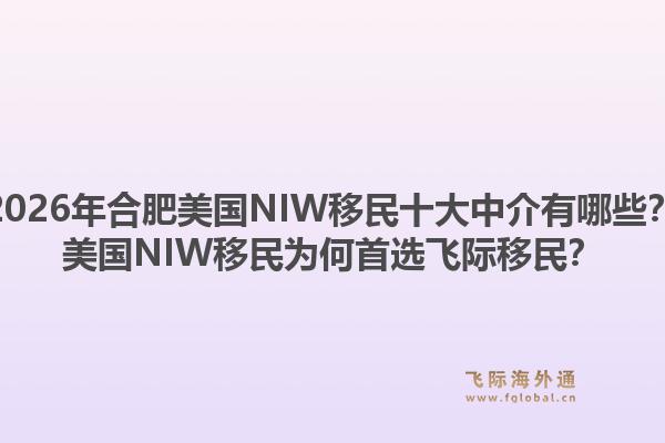 2026年合肥美国NIW移民十大中介有哪些?美国NIW移民为何首选飞际移民?1.jpg