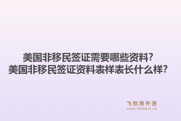 美国非移民签证需要哪些资料？美国非移民签证资料表样表长什么样？1.jpg