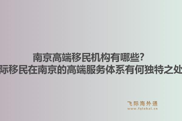 南京高端移民机构有哪些？飞际移民在南京的高端服务体系有何独特之处？
