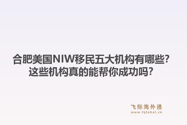 合肥美国NIW移民五大机构有哪些？这些机构真的能帮你成功吗？1.jpg