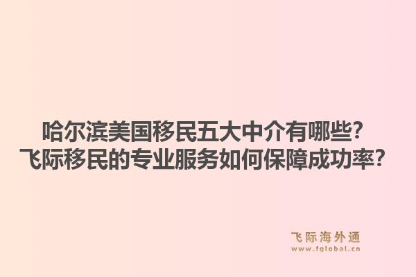 哈尔滨美国移民五大中介有哪些？飞际移民的专业服务如何保障成功率？1.jpg