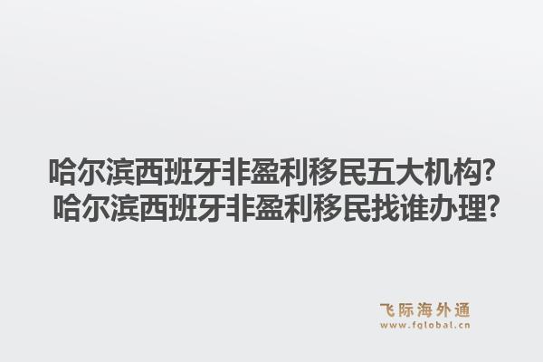 哈尔滨西班牙非盈利移民五大机构? 哈尔滨西班牙非盈利移民找谁办理?1.jpg