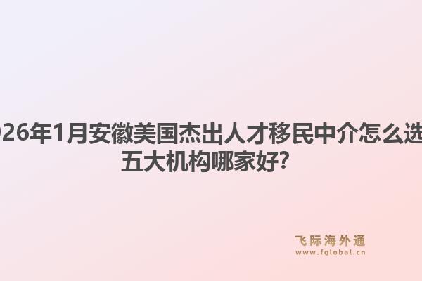 2026年1月安徽美国杰出人才移民中介怎么选?五大机构哪家好?1.jpg