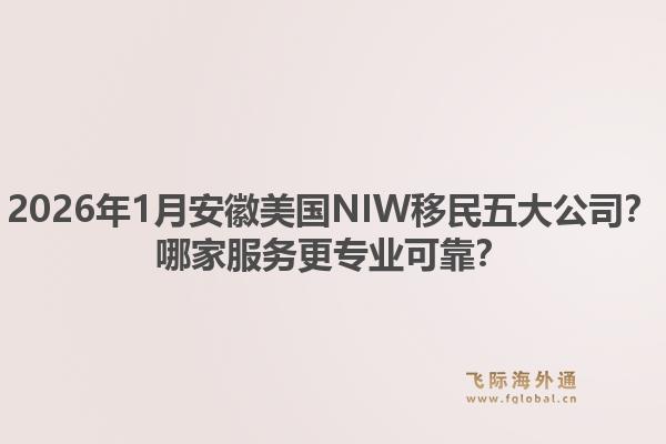 2026年1月安徽美国NIW移民五大公司?哪家服务更专业可靠?1.jpg