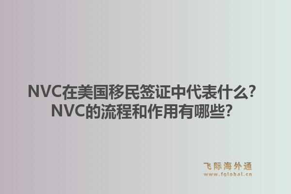 NVC在美国移民签证中代表什么？NVC的流程和作用有哪些？1.jpg