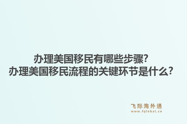 办理美国移民有哪些步骤？办理美国移民流程的关键环节是什么？