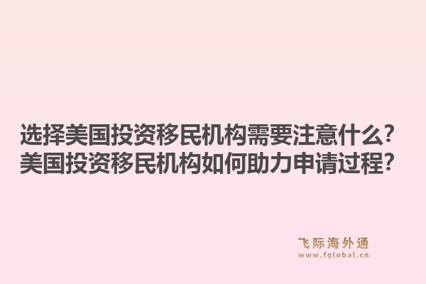 选择美国投资移民机构需要注意什么？美国投资移民机构如何助力申请过程？